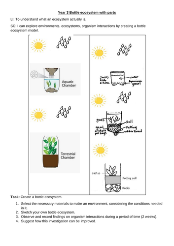 Bottle biosphere прохождение