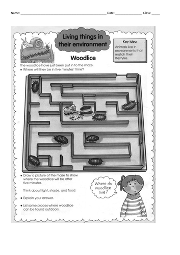 woodlice experiment choice chamber