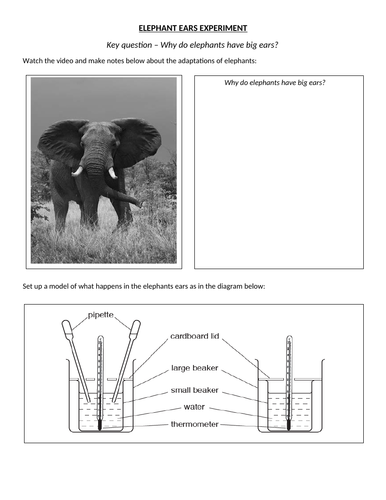 Adaptation - Elephant ears | Teaching Resources