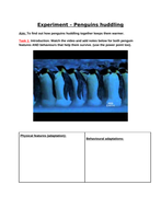 Adaptation - Penguin huddling | Teaching Resources