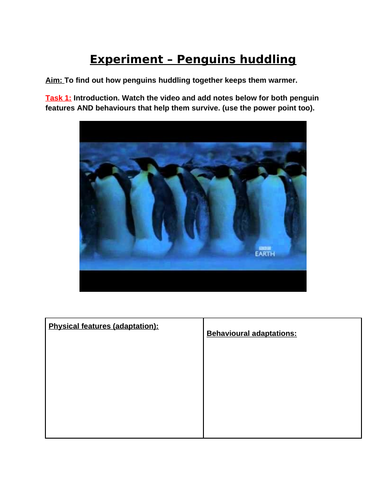 docx, 111.55 KB