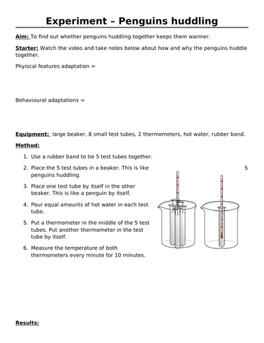 Adaptation - Penguin huddling | Teaching Resources