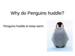 Adaptation - Penguin huddling | Teaching Resources