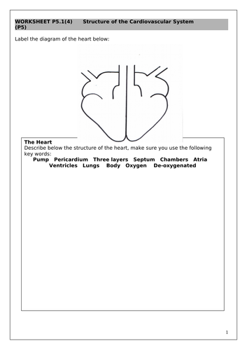 docx, 350.26 KB