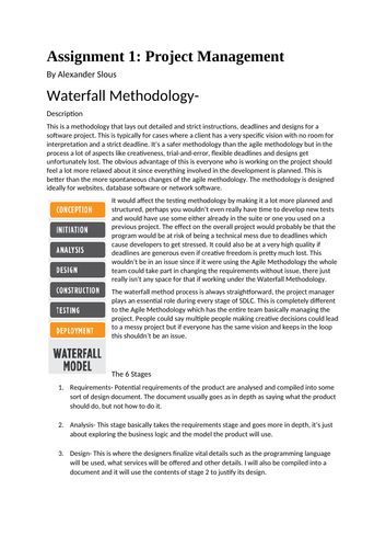 it project management assignment