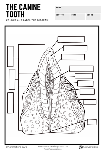 pdf, 1.96 MB