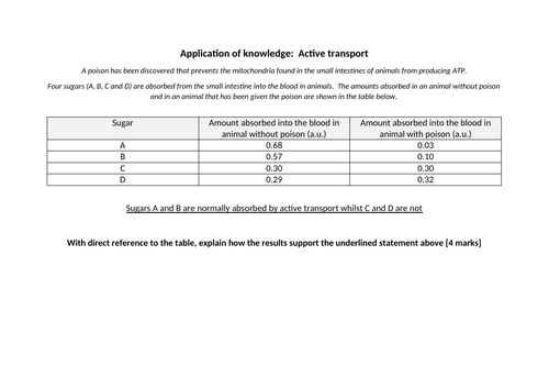 docx, 13.25 KB