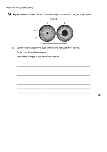 docx, 158.28 KB