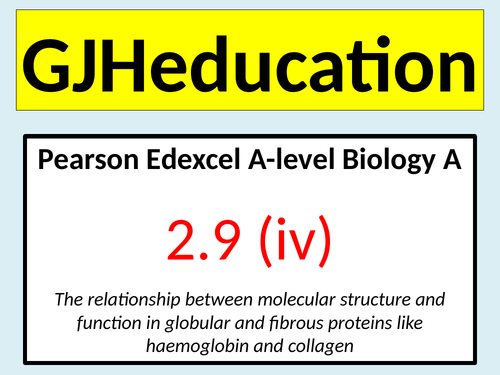 fibrous protein molecular structure