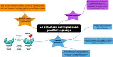 what is a prosthetic group a level biology