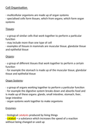 Aqa a level biology essay plans image