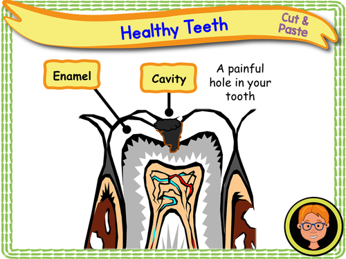 Teeth | Teaching Resources