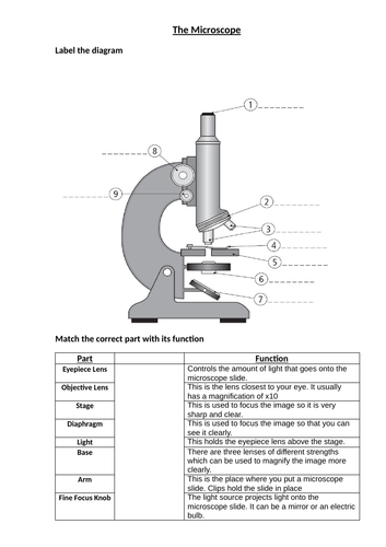 KS5 BTEC National Applied Science Unit 1B Biology Structure and ...