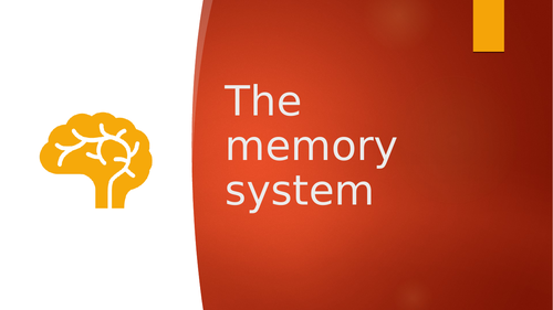 AQA A Level PE - The memory system