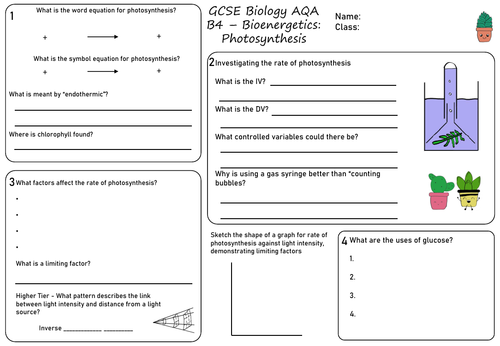 photosynthesis exam questions pdf gcse