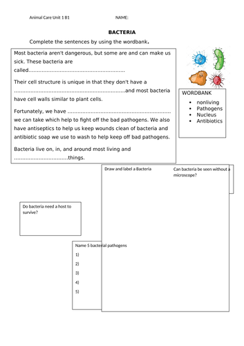 docx, 72.66 KB