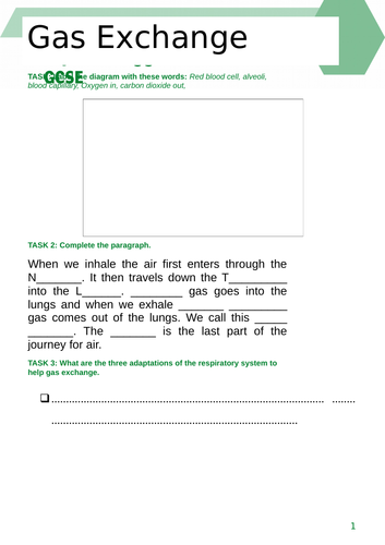 Gas Exchange | Teaching Resources