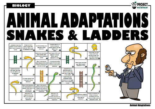 Animal Adaptations Snakes and Ladders | Teaching Resources