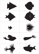 Hooray for Fish Rhyming Words | Teaching Resources