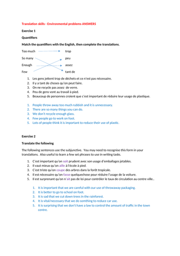 Environment: GCSE French translation skills