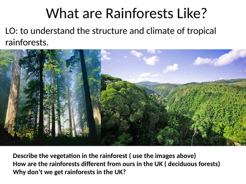 characteristics of the rainforest biome