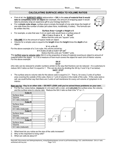 pdf, 116.41 KB