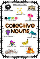 Collective Nouns Pack | Teaching Resources