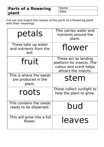 AQA ELC Science Component 2 *UPDATED* | Teaching Resources