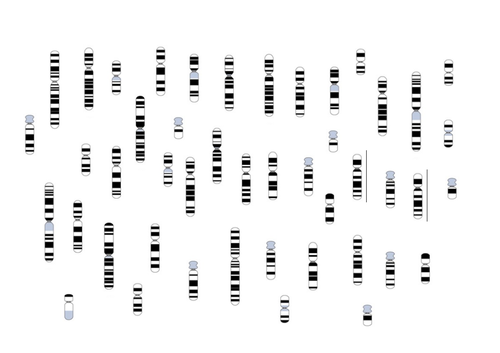 docx, 361.76 KB