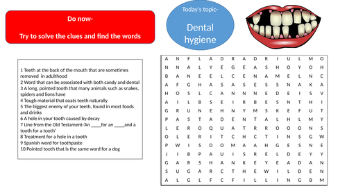 Mini unit of work on healthy lifestyles for KS3 RSE and Health ...