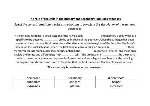 docx, 13.65 KB