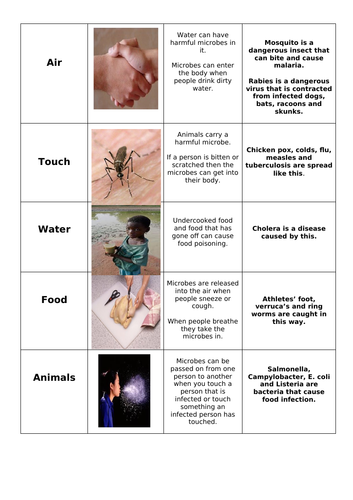 Causes of Communicable Disease GCSE Full Lesson | Teaching Resources
