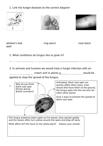 Examples of Communicable Diseases GCSE Full Lesson | Teaching Resources