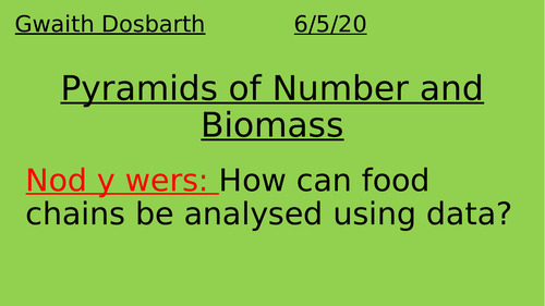Pyramids of Number and Biomass