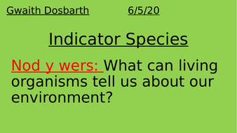 Indicator Species | Teaching Resources