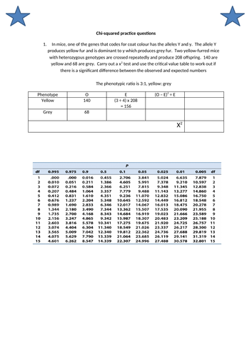 docx, 302.47 KB