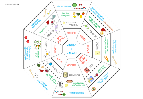 Map Quiz: FOOD WHEEL (biología - 3º primaria - food wheel)