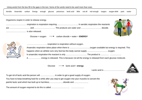 Anaerobic Respiration GCSE Full Lesson | Teaching Resources