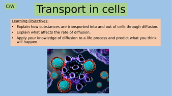 diffusion osmosis gcse lesson