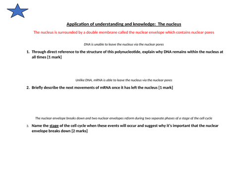 docx, 17.37 KB