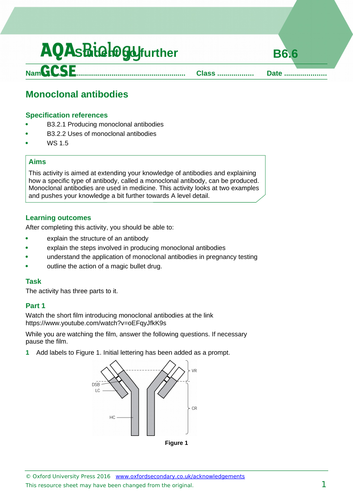 AQA B6.6 Uses of monoclonal antibodies (SEPERATE) | Teaching Resources