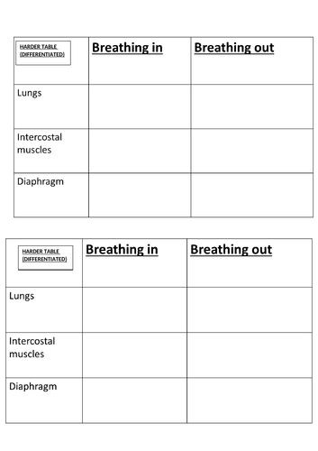 The Lungs (Organisation topic, AQA) | Teaching Resources