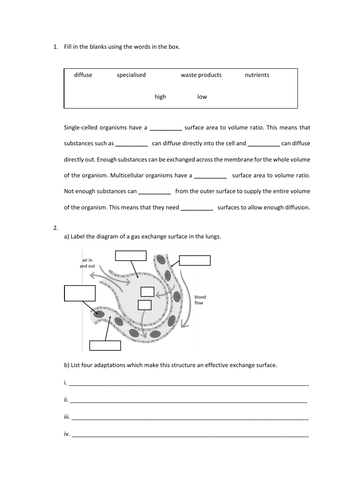 Exchanging Surfaces Slides and Worksheet (GCSE Biology AQA) | Teaching ...