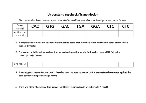 Transcription (Edexcel A-level Biology B) | Teaching Resources