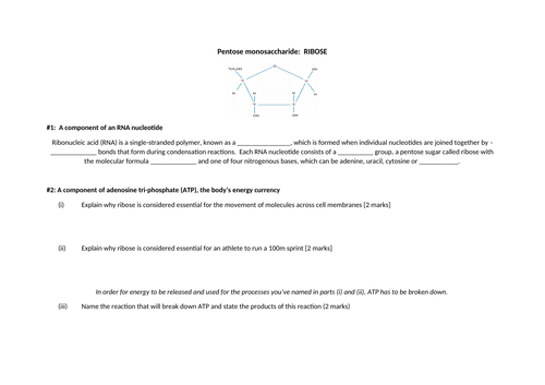 docx, 55.55 KB