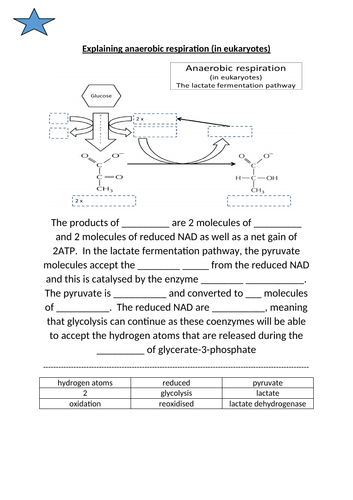 docx, 123.32 KB