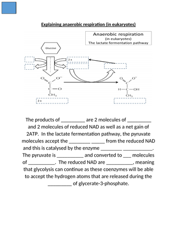 docx, 122.52 KB