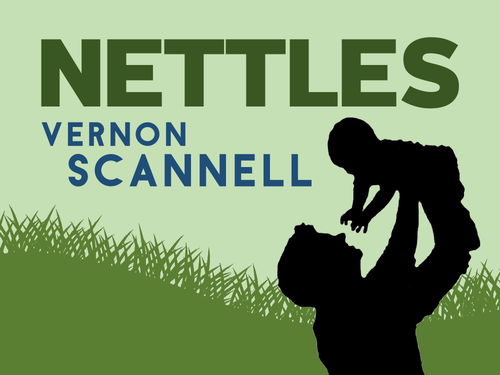 Nettles: Vernon Scannell | Teaching Resources