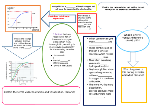 Bohr Shift Revision Mat