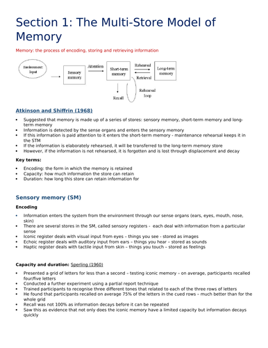 AQA Psychology A-level: Memory  (A* notes)